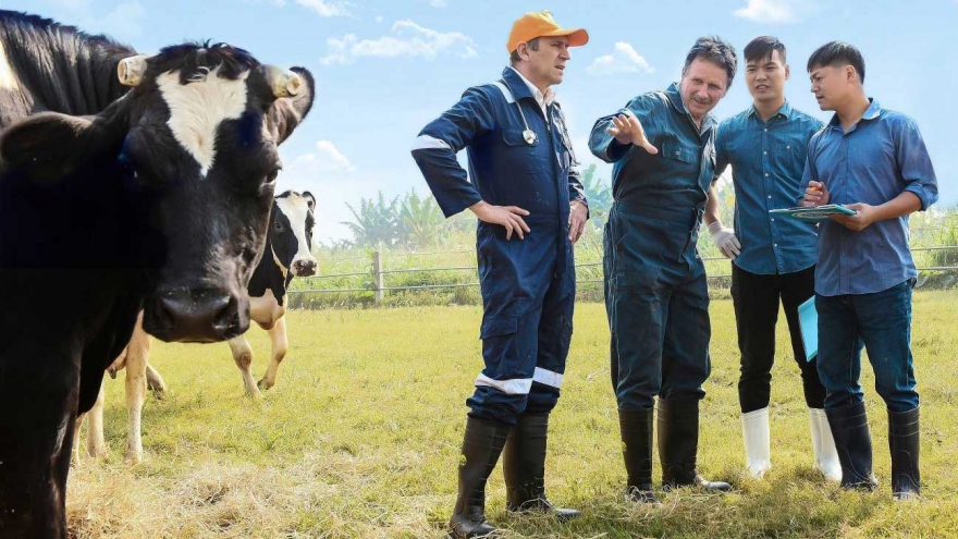 Cô Gái Hà Lan kiến tạo giá trị cho ngành chăn nuôi bò sữa bền vững