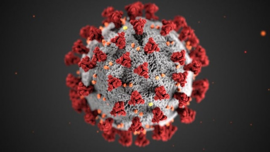 Virus SARS-CoV-2 có 10 biến thể, tăng gấp nhiều lần khả năng lây nhiễm