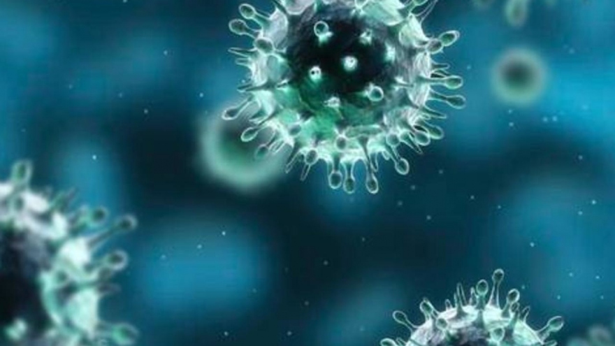 Trung Quốc phát hiện virus SARS-CoV-2 trên bao bì tôm nhập khẩu