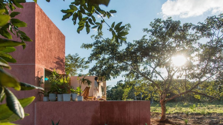 Ngôi nhà hòa mình vào thiên nhiên hoang dã ở Mexico