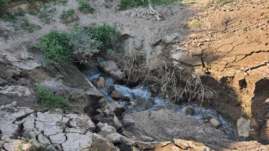 Xử lý Nhà máy tinh bột sắn xả thải ra sông Hồng