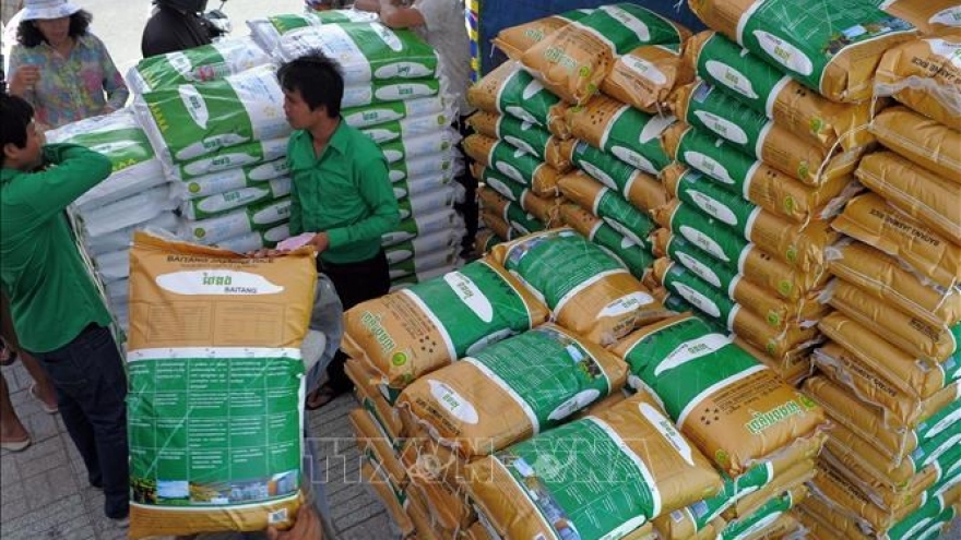 Sản lượng gạo xuất khẩu của Campuchia tăng mạnh
