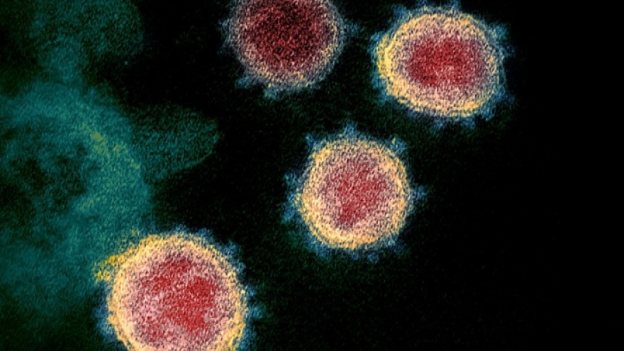 Hy Lạp ghi nhận 26 trường hợp nhiễm biến thể mới của virus SARS-CoV-2