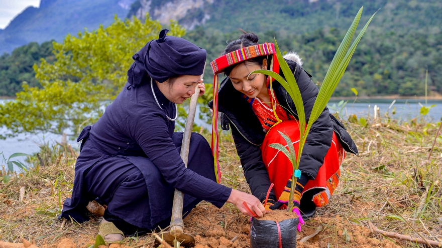 Top 10 Hoa khôi Du lịch Việt Nam trồng cây, lan tỏa vẻ đẹp Lâm Bình - Tuyên Quang