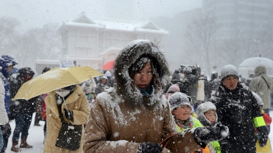 Tuyết rơi dày tại Nhật Bản khiến hàng chục người thiệt mạng