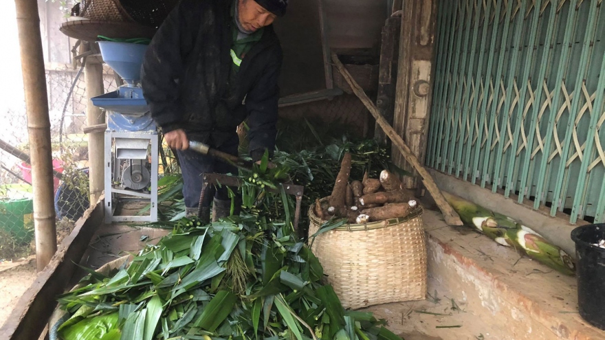 Gần 400 con gia súc ở Sơn La bị chết do rét đậm, rét hại