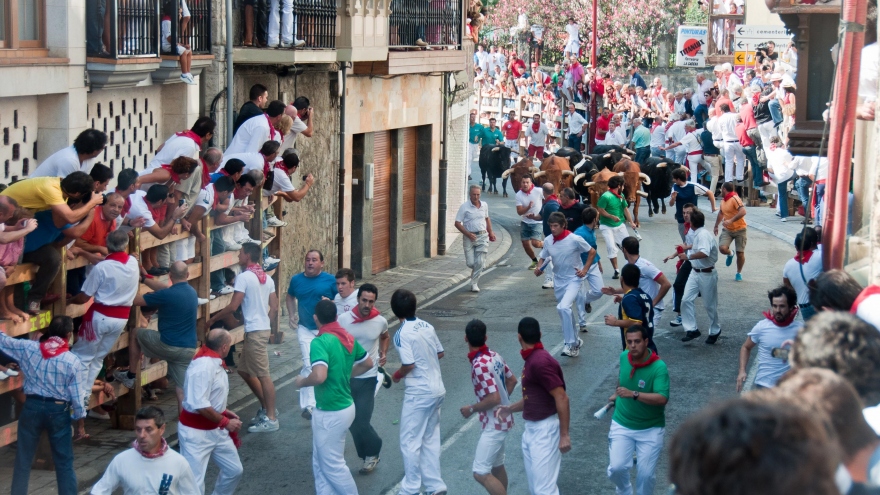 Tây Ban Nha hủy tổ chức lễ hội đua bò nổi tiếng 