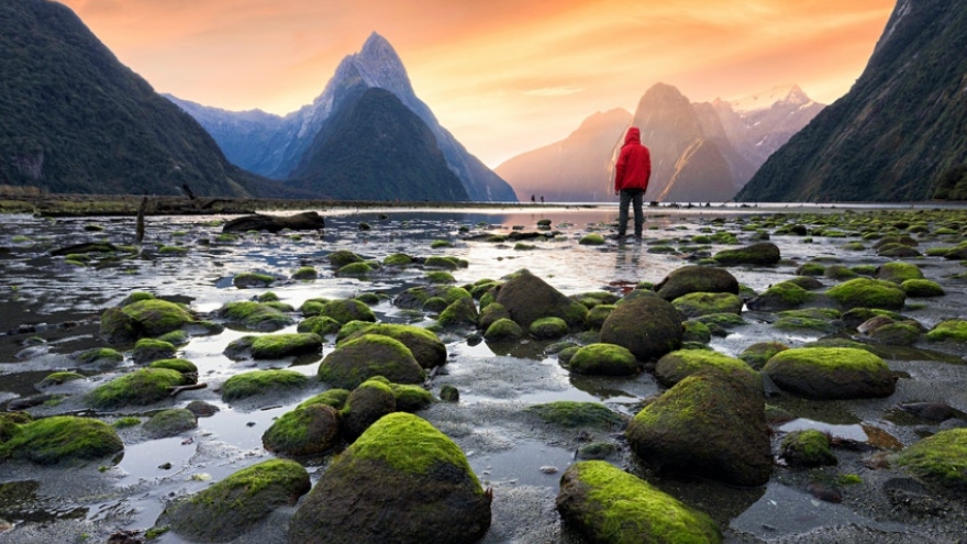 New Zealand dự kiến đóng cửa du lịch quốc tế đến hết năm 2021