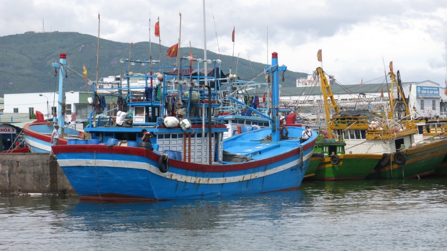 1 ngư dân tỉnh Bình Định mất tích trên biển