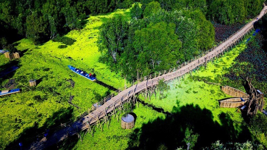 Khách du xuân rừng tràm Trà Sư, check-in cầu tre dài nhất Việt Nam