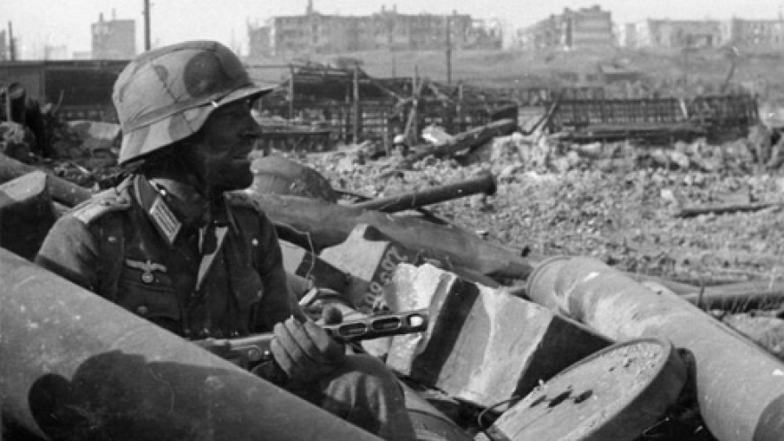 “Đội quân” chuột và nỗi ám ảnh kinh hoàng của Đức Quốc xã trong Trận Stalingrad