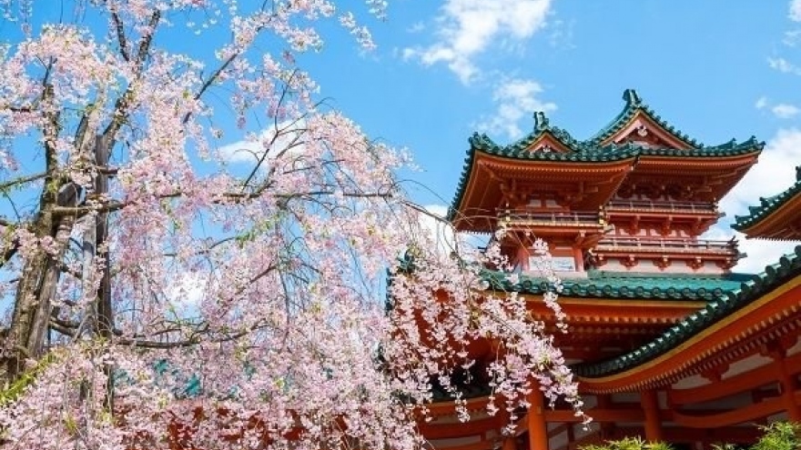 10 địa điểm ngắm hoa nổi tiếng ở Nhật Bản nhất định phải ghé thăm