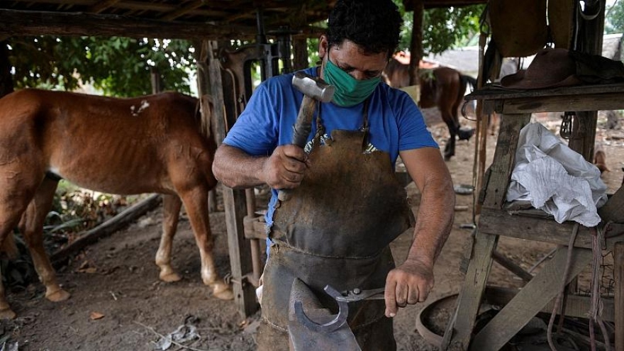 Cuba: Không còn du lịch, người dân về làm nông để mưu sinh