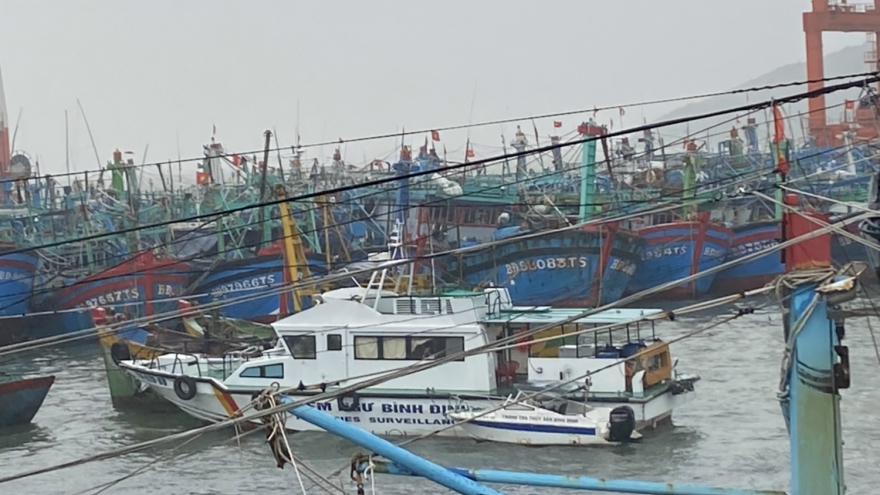 Bình Định: Liên lạc được với tàu cá cùng 12 ngư dân trên biển