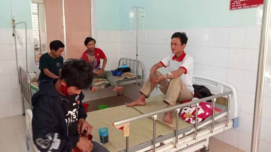 5 người ở huyện miền núi Nam Trà My bị ngộ độc do ăn nấm
