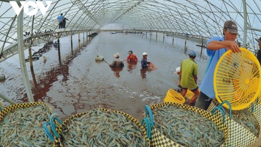 Giá thức ăn thủy sản và chăn nuôi tăng cao khiến doanh nghiệp thêm lao đao
