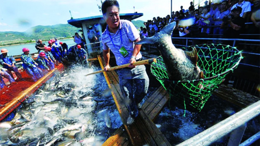 Trung Quốc đẩy mạnh phương pháp nuôi trồng thủy sản thân thiện môi trường