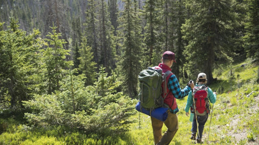 7 lý do tại sao bạn nên đi bộ đường dài (hiking)