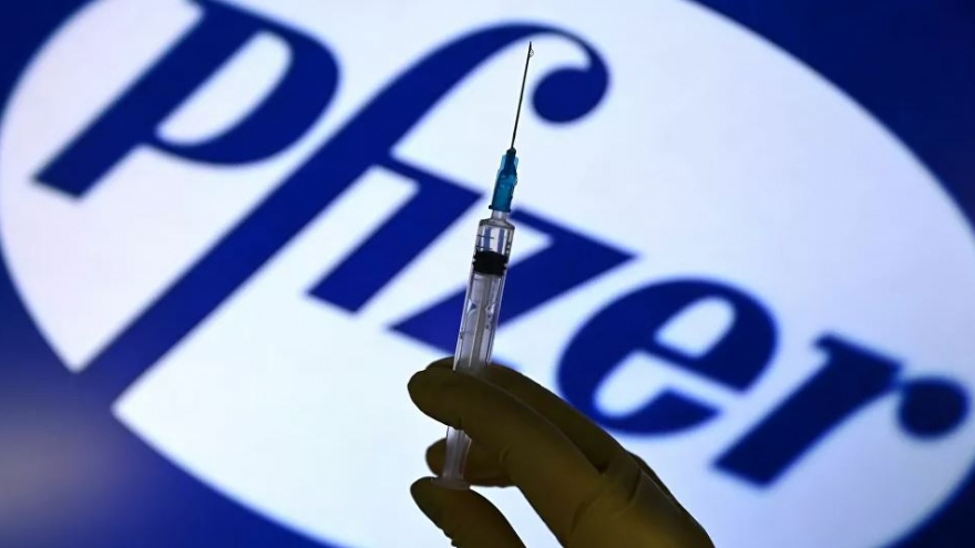 Pfizer: Thủ tục rườm rà của EU gây cản trở việc sản xuất vaccine Covid-19