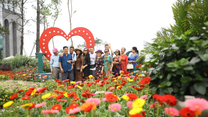 Cận cảnh thiên đường hoa rực rỡ trên đồi cao khiến du khách mê mẩn tại Hạ Long