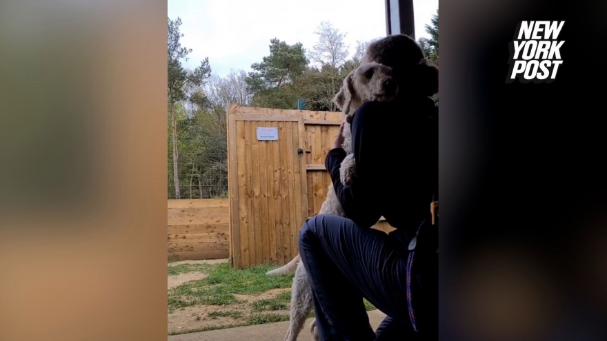 Video: Chú chó ôm chầm lấy người chăm sóc mới sau khi phải sống gần 6 năm trong thùng