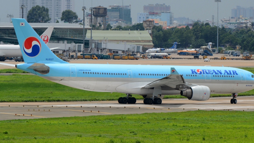 Máy bay không thể cất cánh vì đàn chim én “tung tăng” ở sân bay Tân Sơn Nhất