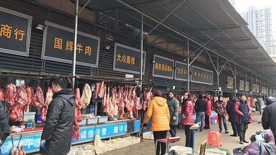 Phát hiện 47.000 động vật hoang dã bán ở chợ Vũ Hán trước khi Covid-19 bùng phát