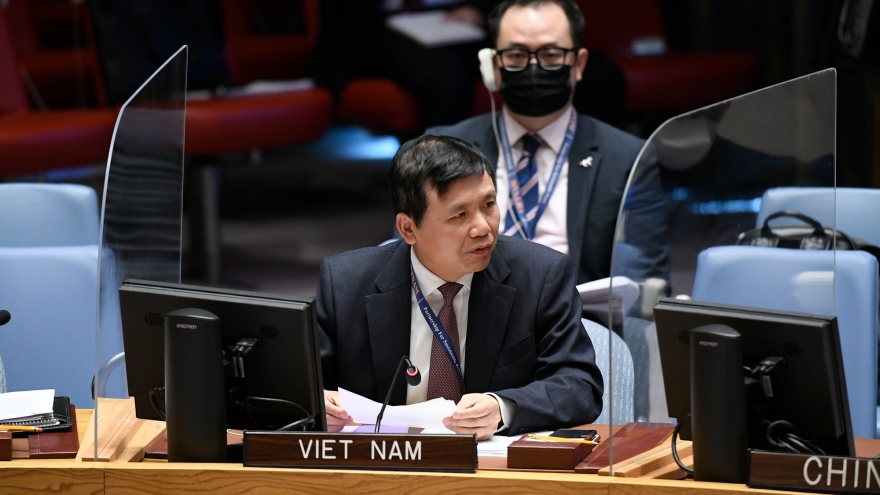 Việt Nam kêu gọi cộng đồng quốc tế tiếp tục hỗ trợ người dân Mali