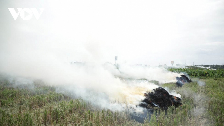 Đốt rơm rạ mỗi vụ ở Hà Nội phát sinh hơn 23.000 tấn CO2 và 163,3 tấn bụi mịn PM2.5