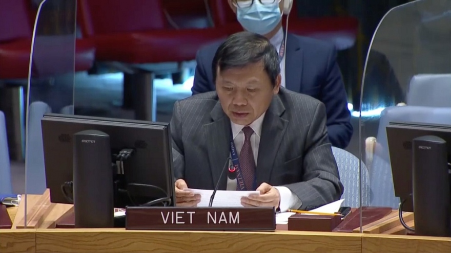 Việt Nam kêu gọi duy trì hỗ trợ nhân đạo liên tục cho người dân Syria