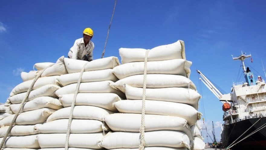Nhập gạo Ấn Độ tăng đột biến, hoả tốc lập đoàn kiểm tra 5 doanh nghiệp