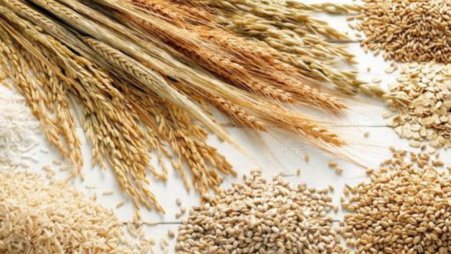 FAO: Giá lương thực thế giới giảm lần đầu tiên trong năm nay