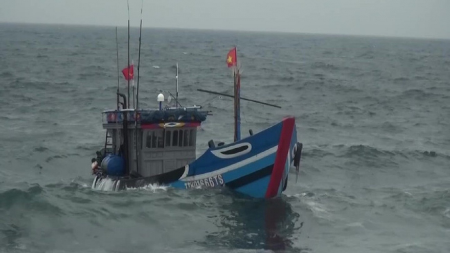 Cà Mau: Chìm phương tiện đánh bắt trên biển, cặp vợ chồng tử vong
