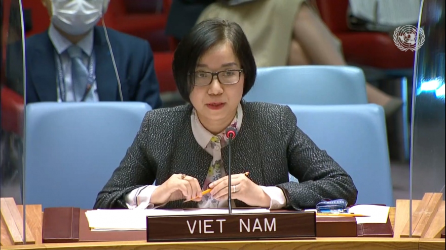 Việt Nam đánh giá cao các đóng góp của UNAMID