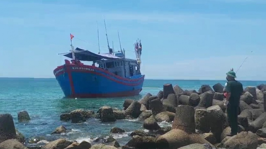 12 ngư dân từ Khánh Hòa về Quảng Ngãi dương tính với virus SARS-CoV-2 