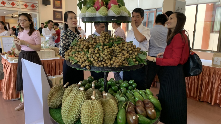 Đắk Lắk kiến nghị Bộ Công Thương hỗ trợ tiêu thụ sầu riêng và bơ