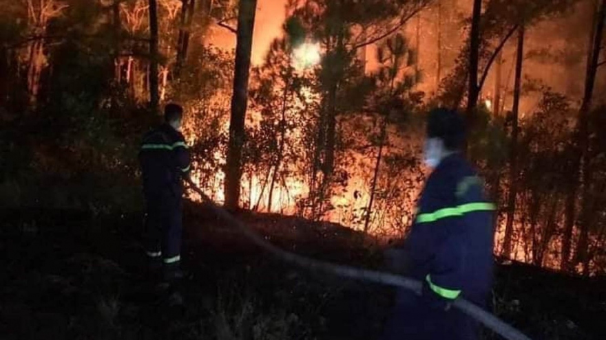 Nắng nóng, liên tiếp xảy ra 7 vụ cháy rừng ở Thừa Thiên Huế
