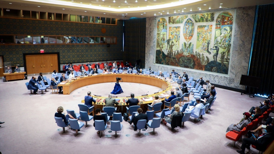 Hội đồng Bảo an thông qua Tuyên bố Chủ tịch về Phái bộ gìn giữ Hòa bình tại Sudan