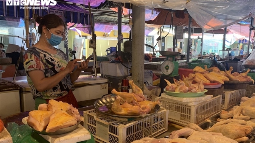 Giá gà ở phía Nam rớt kỷ lục, giá ở Hà Nội có giảm?