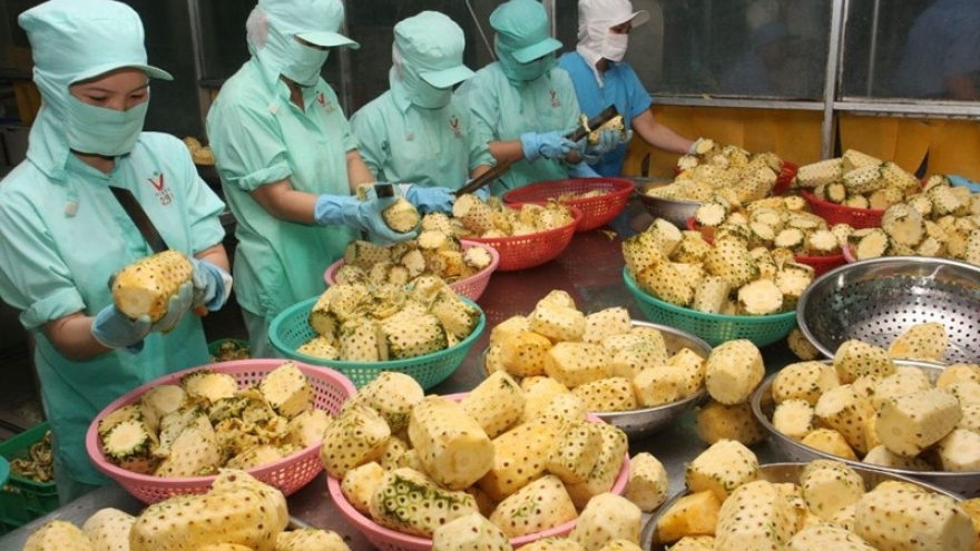 Xuất khẩu nông sản Việt sang thị trường Ma Rốc cần cạnh tranh về giá