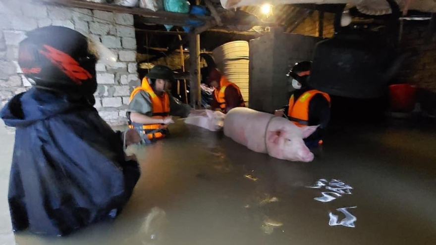 Nghệ An di dời dân khẩn cấp khi có gần 700 nhà bị ngập do mưa lũ