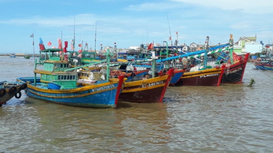 Ngư dân Bình Thuận khí thế ra khơi sau thời gian nằm bờ phòng chống dịch