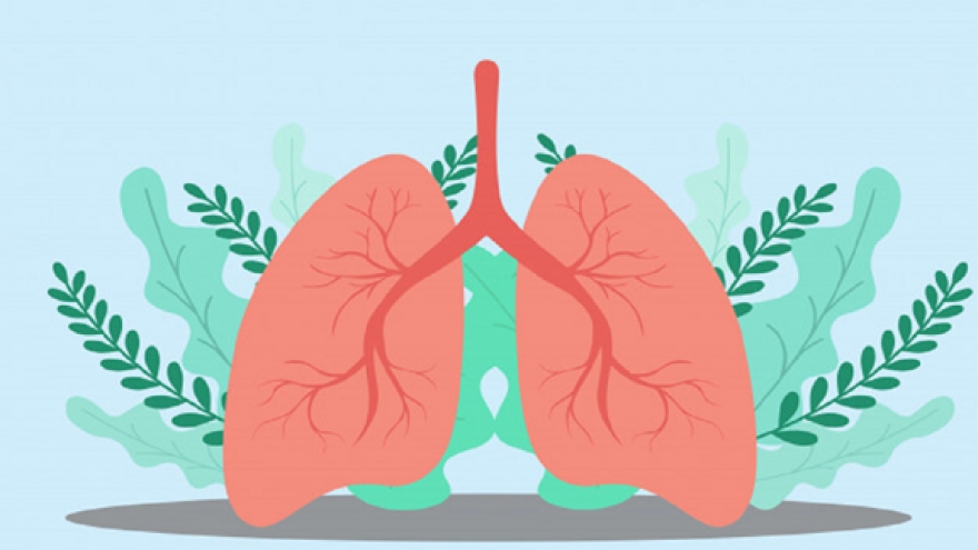 Một số cách bảo vệ phổi của bạn trong thời kỳ đại dịch COVID-19