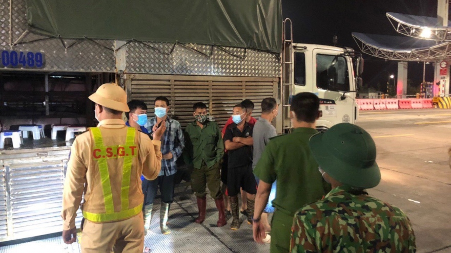 Phát hiện 4 người trốn trong xe chở lợn để "thông chốt" vào Quảng Ninh