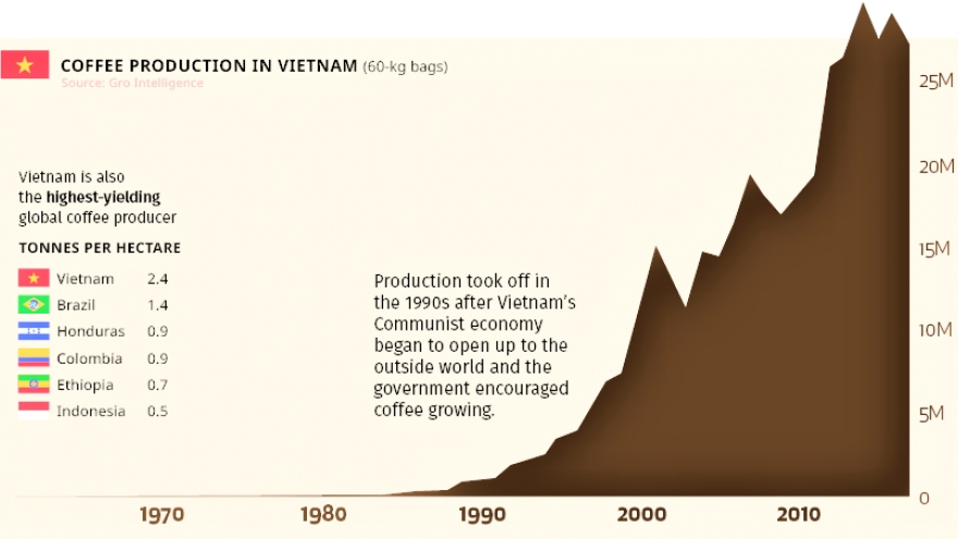 Việt Nam – nhà sản xuất cà phê lớn thứ hai của thế giới