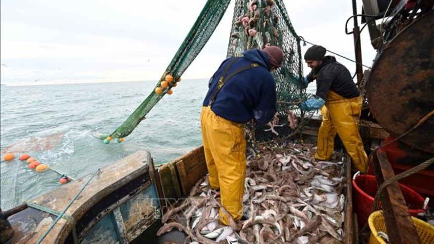 Pháp ra “tối hậu thư” cho Anh về tranh chấp nghề cá