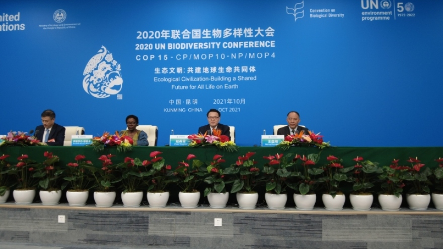 Trung Quốc: Tuyên bố Côn Minh tạo động lực mới cho quản trị môi trường toàn cầu