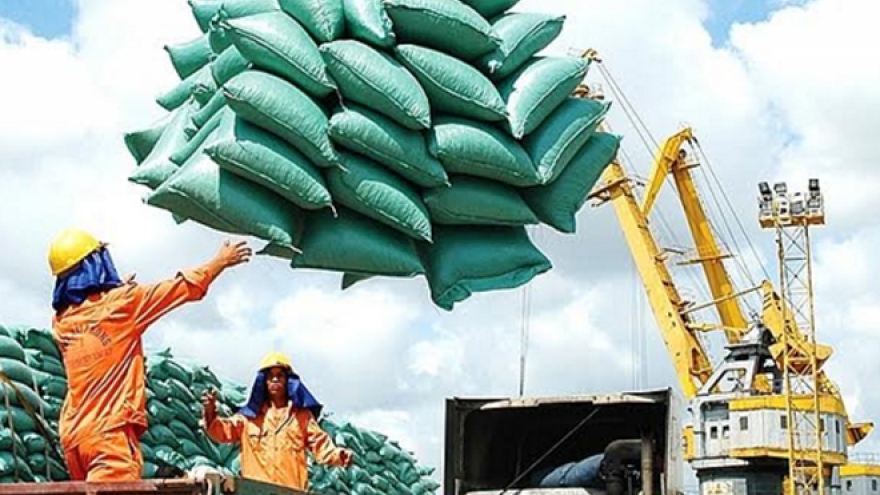 Positive outlook for local rice exports by year-end