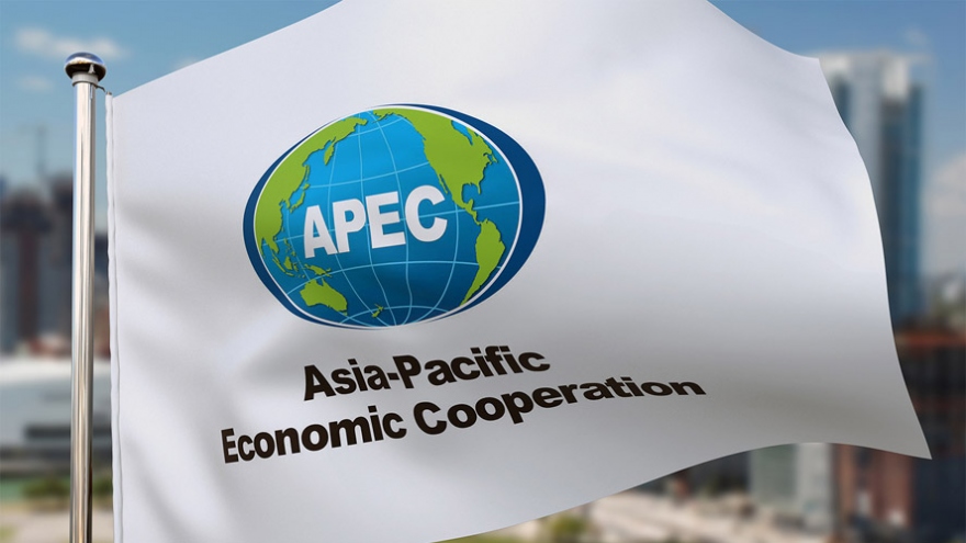Chủ tịch nước Nguyễn Xuân Phúc tham dự Hội nghị Cấp cao APEC lần thứ 28