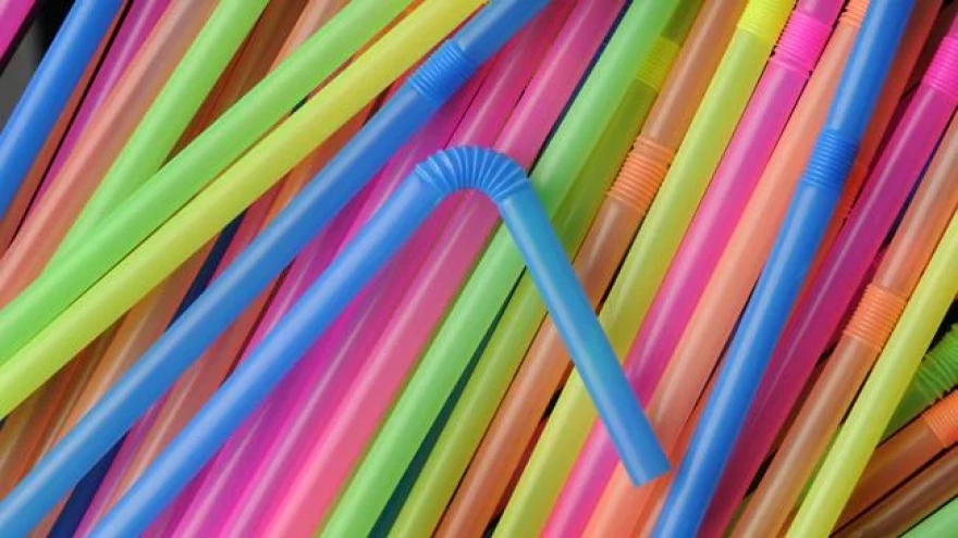 Bang lớn nhất của Australia cấm sử dụng đồ nhựa dùng một lần